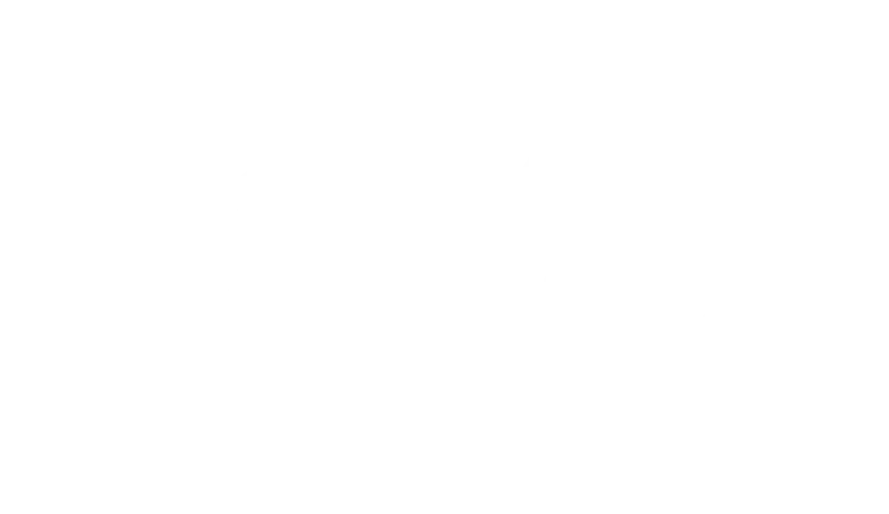 silwaMID and silwaSLOT are born