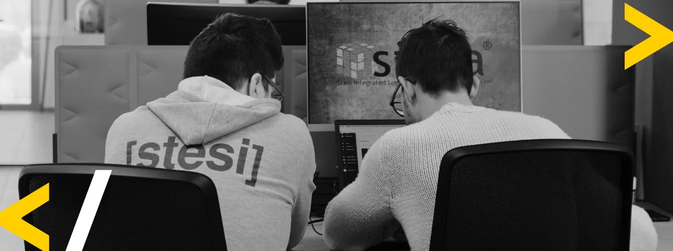 Software developer lavorano insieme a un progetto consulenziale per un cliente al computer