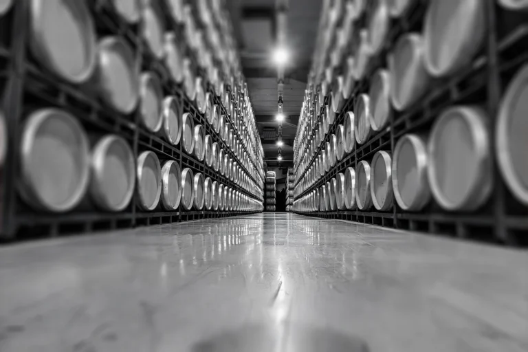 La logistica del vino: efficienza, multicanalità e tecnologia a supporto delle cantine