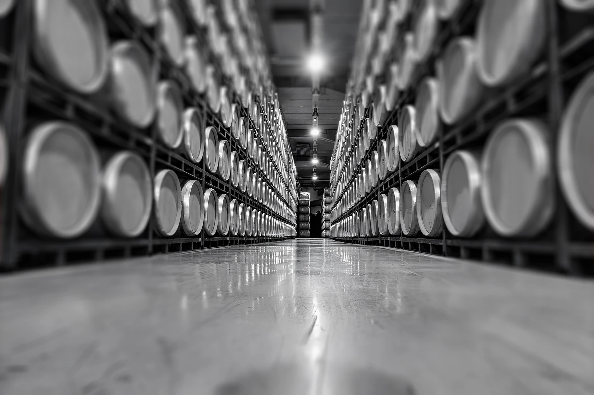 La logistica del vino: efficienza, multicanalità e tecnologia a supporto delle cantine